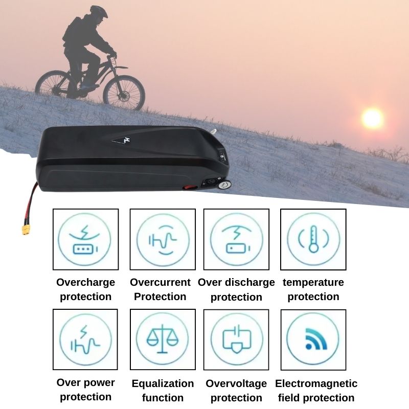Hailong E-bike Battery 36V 48V - Ebike Battery 48V 20Ah Hailong 评论和价格